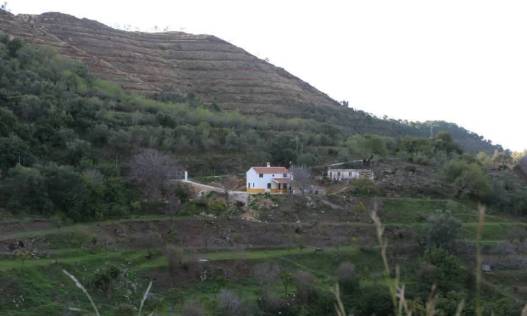Villa - Bestaand - Ojen - Ojen