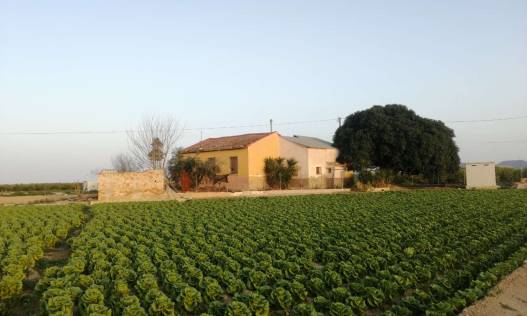 Villa - Bestaand - Orihuela Costa - Orihuela
