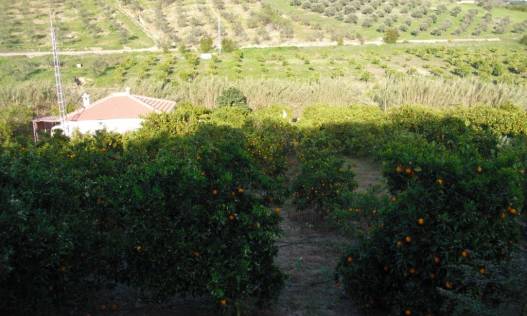 Villa - Bestaand - Tolox - Tolox