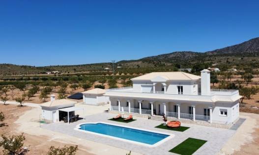 Villa - Nieuwbouw - Pinoso - Camino Del Prado