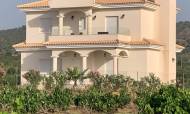 Villa - Nieuwbouw - Pinoso - LM-15187