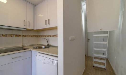 Bestaand - Appartement - Torrevieja - Alicante