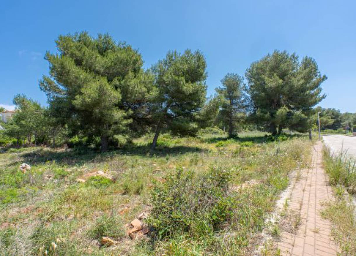 Bestaand - Plot - Jávea - Costa Nova