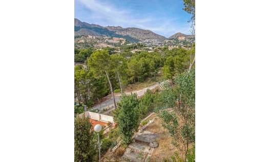 Bestaand - Reclame - Altea - Mascarat