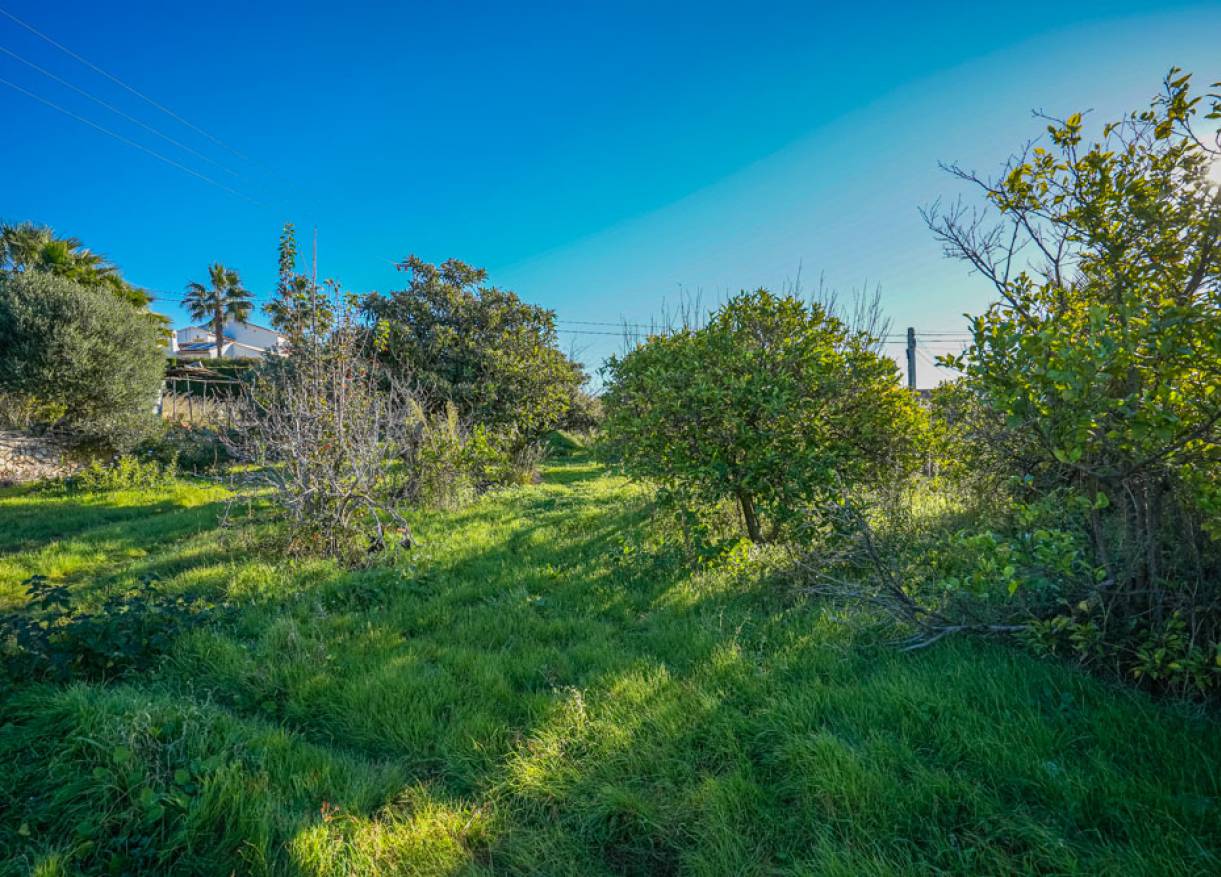 Bestaand - Plot - Jávea - Valls