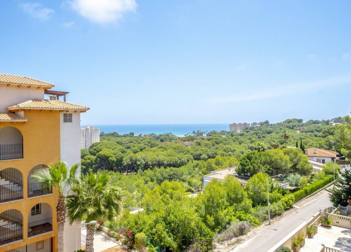 Bestaand - Penthouse - Orihuela Costa - Campoamor