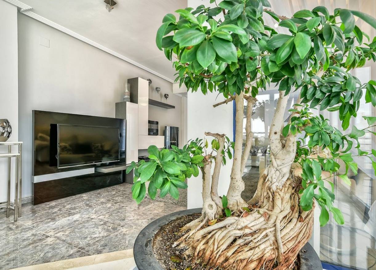 Bestaand - Penthouse - Calpe