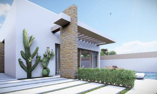 Nieuwbouw - Villa - San Miguel de Salinas - Alicante