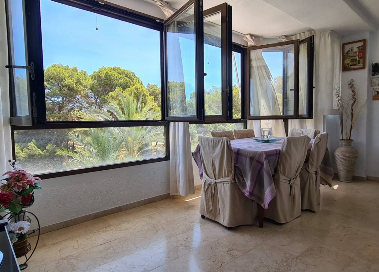 Bestaand - Appartement - Guardamar del segura