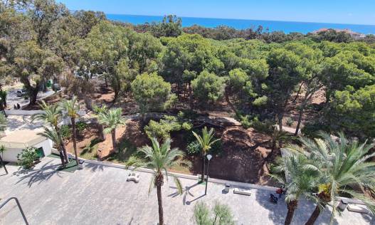 Bestaand - Appartement - Guardamar del segura