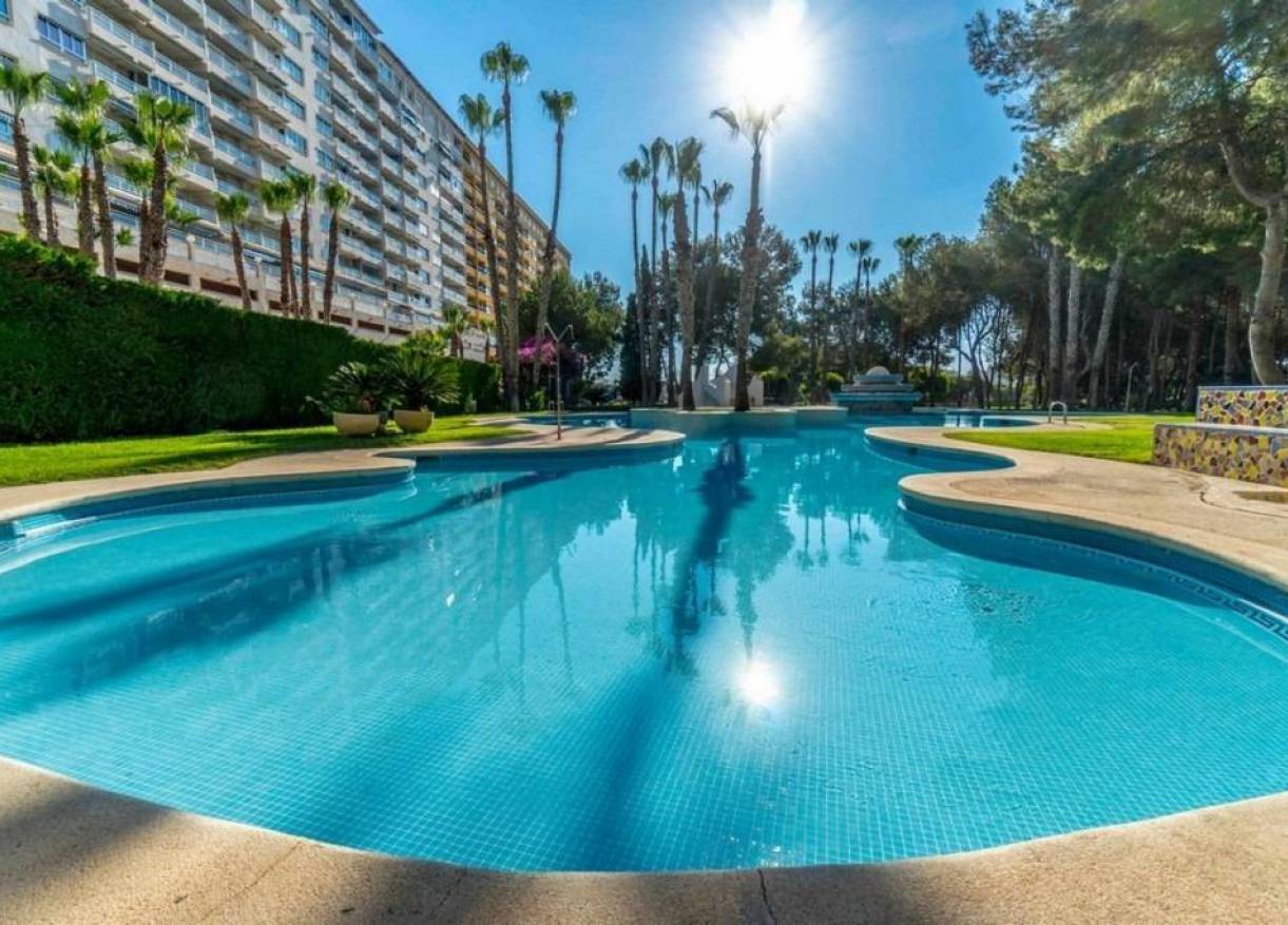 Bestaand - Appartement - Orihuela - Campoamor