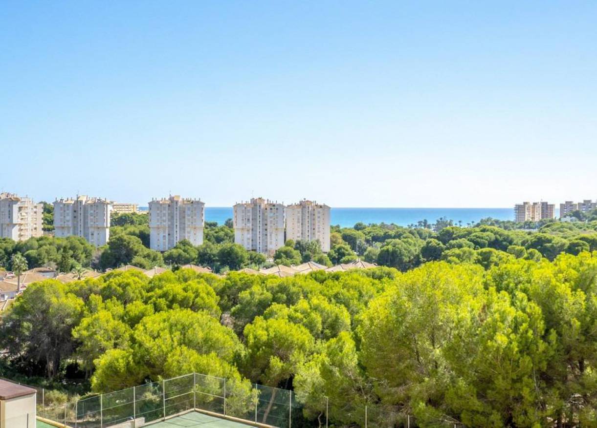 Bestaand - Appartement - Orihuela - Campoamor