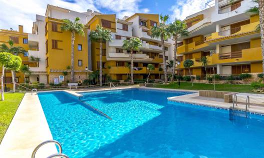 Bestaand - Appartement - Punta Prima - La Recoleta