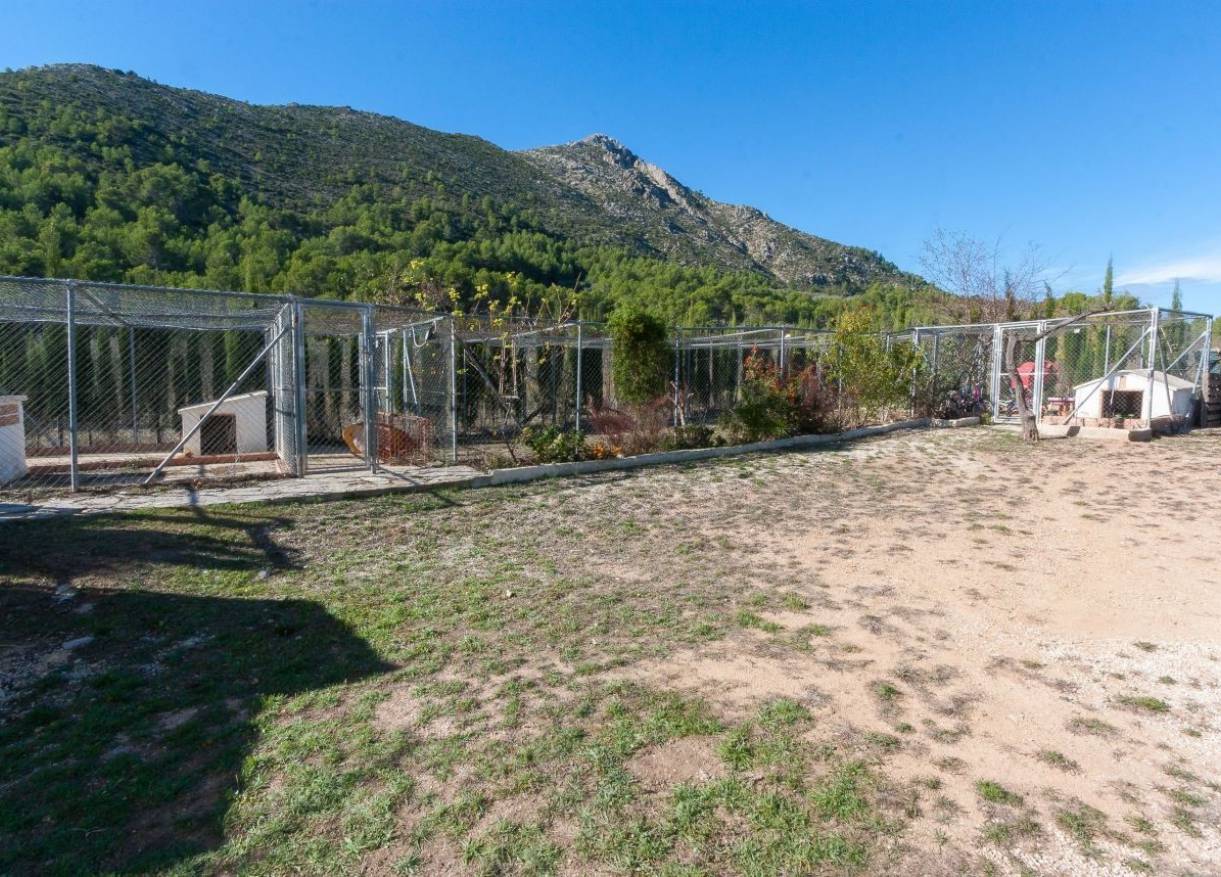 Bestaand - Finca - Jalón Valley - Jalón Vallei