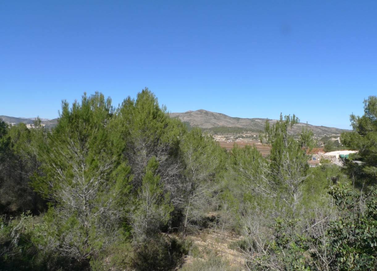 Bestaand - Finca - Jalón Valley - Jalón Vallei