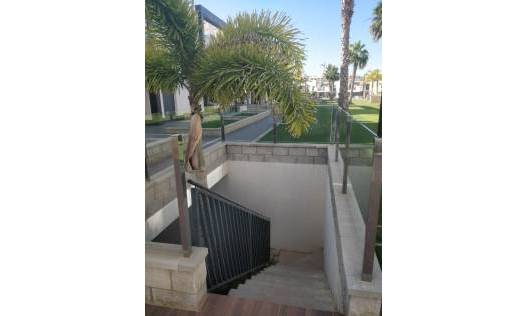 Bestaand - Apartment - Penthouse - Guardamar del segura - Guardamar