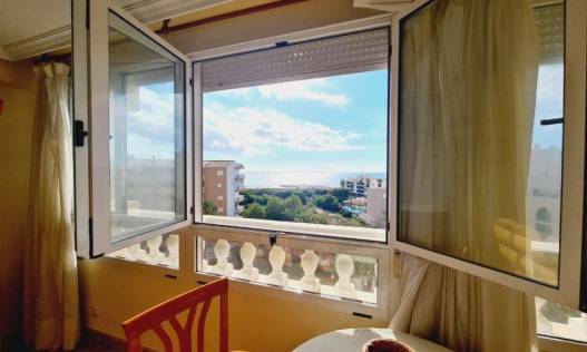 Bestaand - Appartement - La Mata