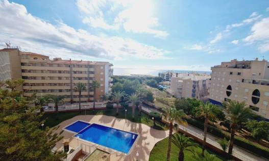 Bestaand - Appartement - La Mata