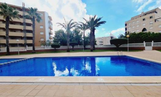 Bestaand - Appartement - La Mata