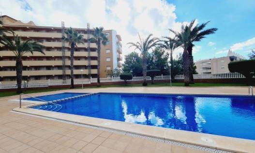 Bestaand - Appartement - La Mata