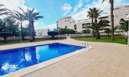 Bestaand - Appartement - La Mata