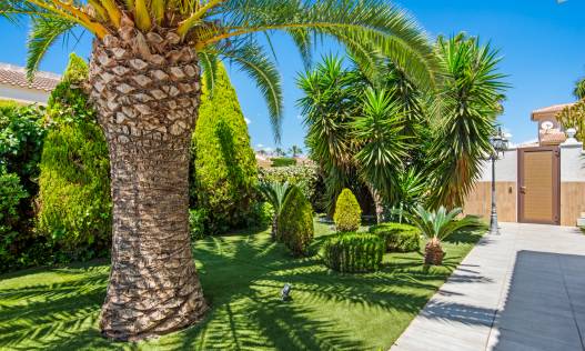 Bestaand - Villa - Ciudad Quesada - Rojales - Doña pepa