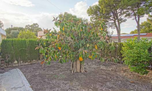 Bestaand - Villa - Denia - Las Rotas