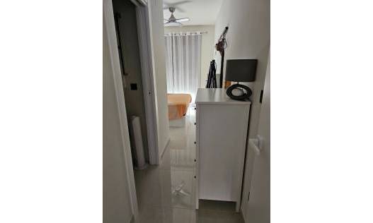 Nieuwbouw - Appartement - Torrevieja