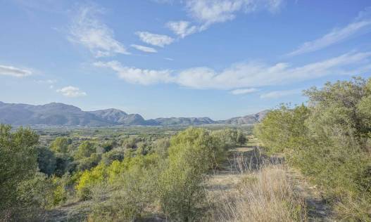 Bestaand - Finca - Orba Valley - Orba Vallei