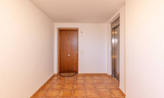 Bestaand - Penthouse - Punta Prima - La Recoleta