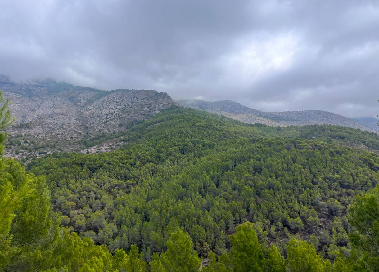 Bestaand - Plot - Altea - Urbanización Santa Clara