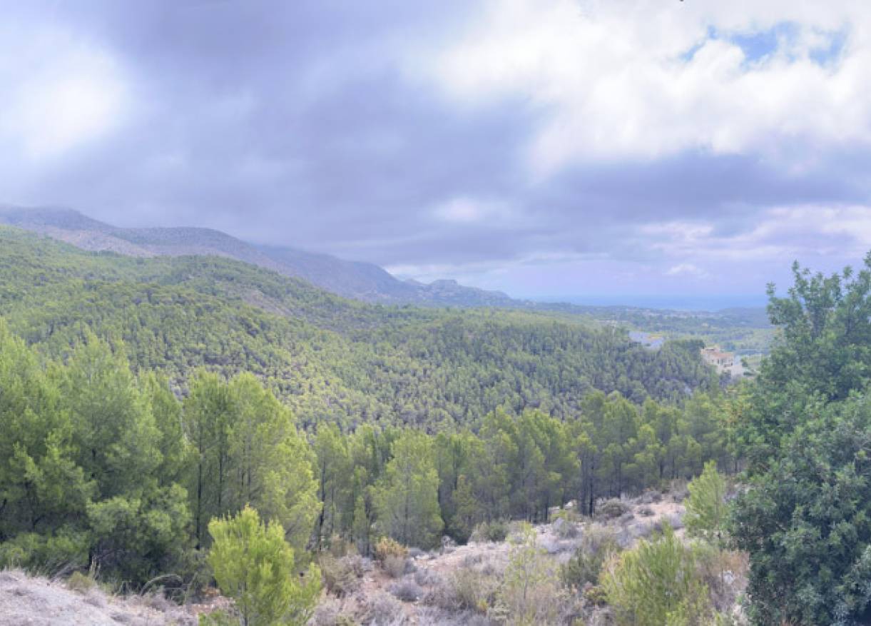 Bestaand - Plot - Altea - Urbanización Santa Clara