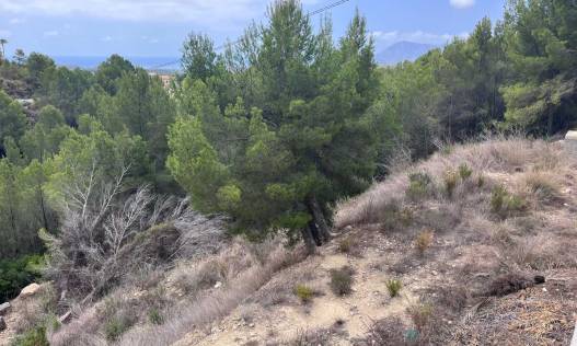 Bestaand - Plot - Altea - Urbanización Santa Clara