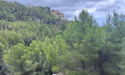 Bestaand - Plot - Altea - Urbanización Santa Clara