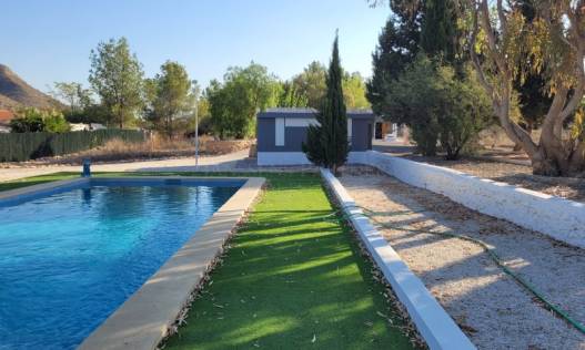 Bestaand - Finca - Hondón de las Nieves - Hondón de las Nieves / el Fondó de les Neus