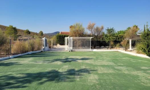 Bestaand - Finca - Hondón de las Nieves - Hondón de las Nieves / el Fondó de les Neus