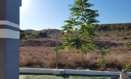 Bestaand - Finca - Hondón de las Nieves - Hondón de las Nieves / el Fondó de les Neus