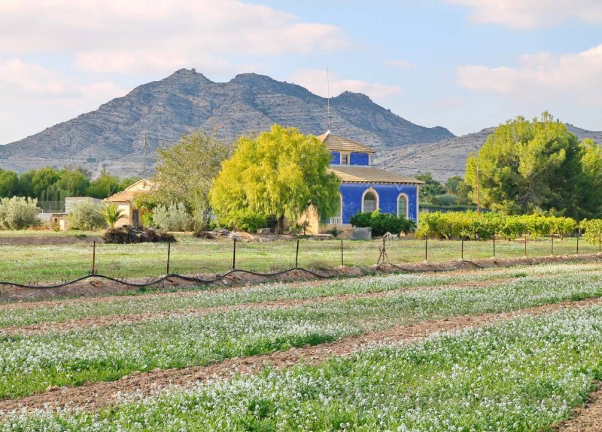 Bestaand - Villa - Aspe - Pedanías Oeste