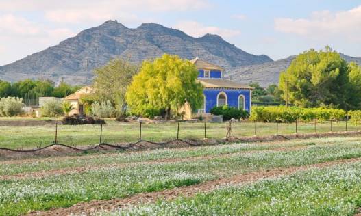 Bestaand - Villa - Aspe - Pedanías Oeste