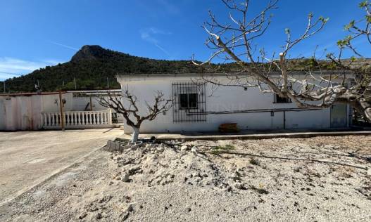 Bestaand - Finca - Aspe - Pedanías Oeste