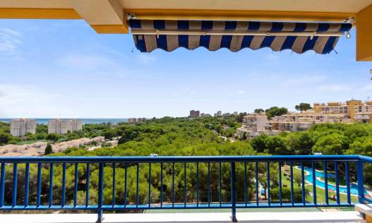 Bestaand - Appartement - Orihuela Costa - Campoamor