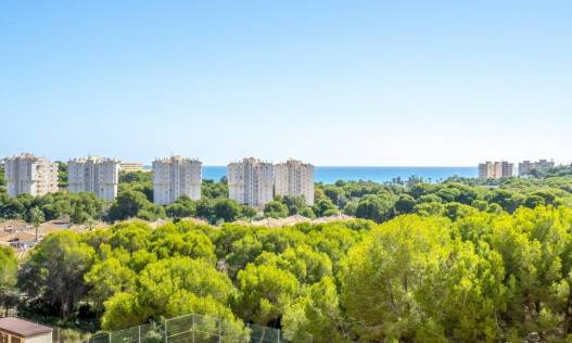 Bestaand - Appartement - Orihuela Costa - Campoamor