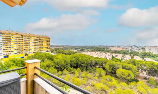 Bestaand - Appartement - Orihuela Costa - Campoamor