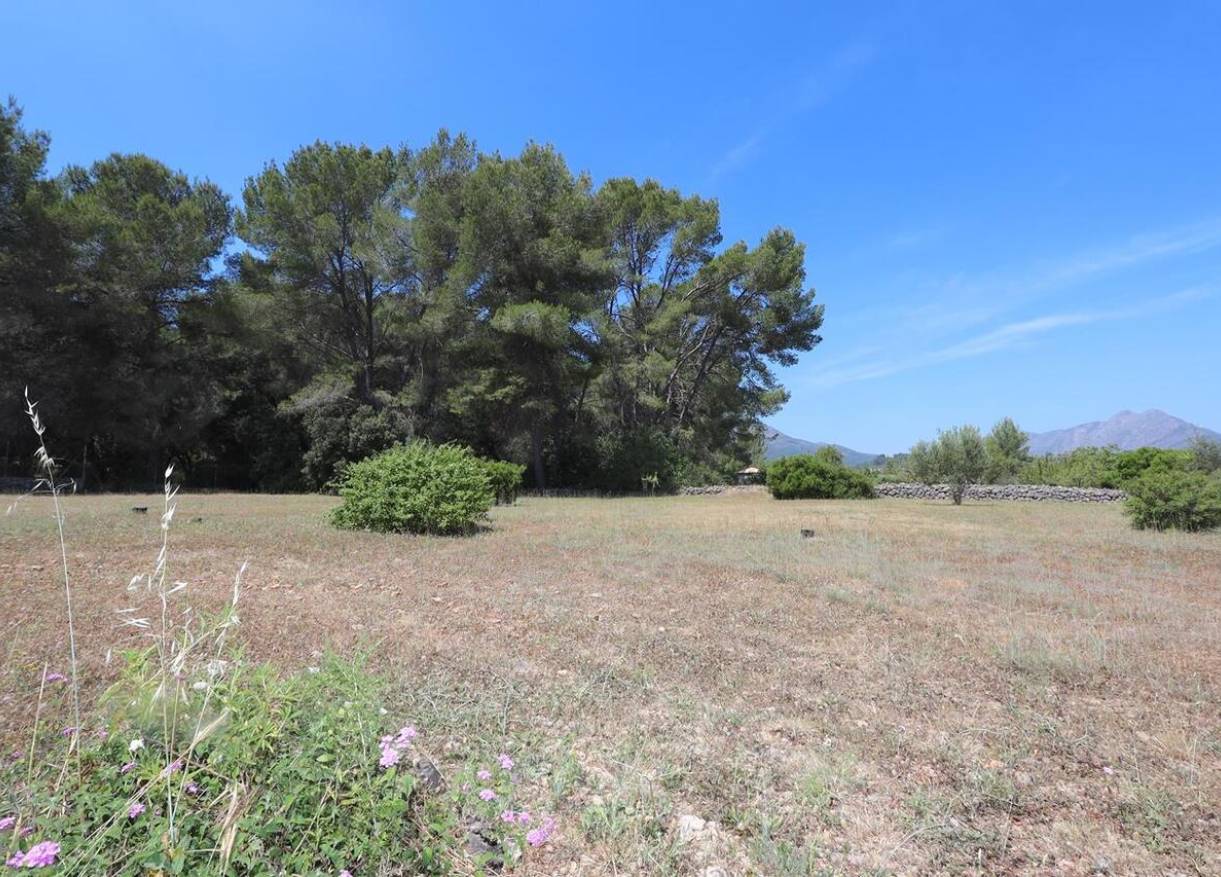 Bestaand - Finca - Jalón Valley - Jalón Vallei