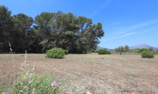 Bestaand - Finca - Jalón Valley - Jalón Vallei