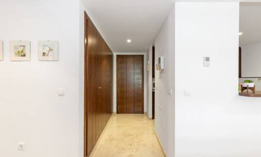 Bestaand - Appartement - Punta Prima - La Recoleta