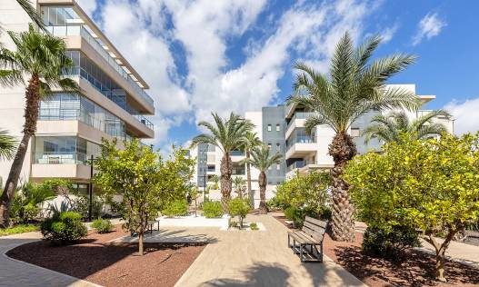 Bestaand - Penthouse - Orihuela Costa - Villamartín-Las Filipinas