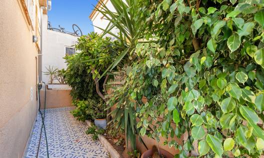 Bestaand - Townhouse / Semi-detached - Torrevieja - Los Balcones - Los Altos del Edén