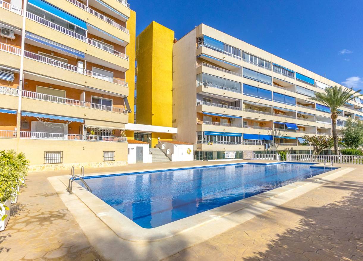 Bestaand - Appartement - Punta Prima - El Acequión