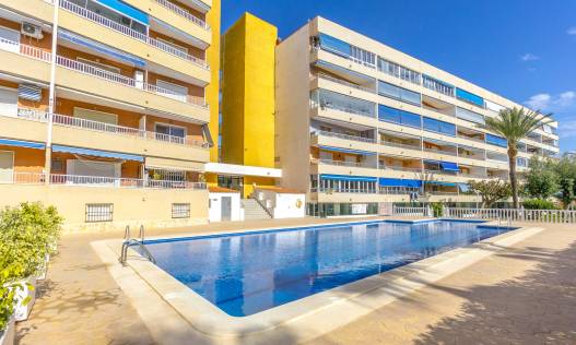 Bestaand - Appartement - Punta Prima - El Acequión